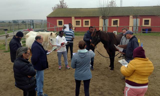 El projecte "Guau" va cloure la setmana passada a l’hípica Alcoletge Lleida, on els i les participants del projecte van interactuar amb cavalls per beneficar les seves necessitats físiques, emocionals, socials i sensorials.